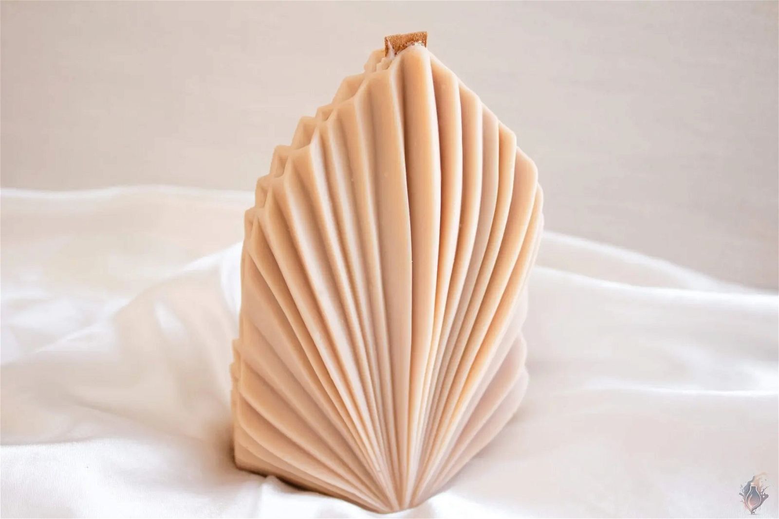 Wooden Wick Coral Shell Candle - Case of 5 - EKK Candle Art