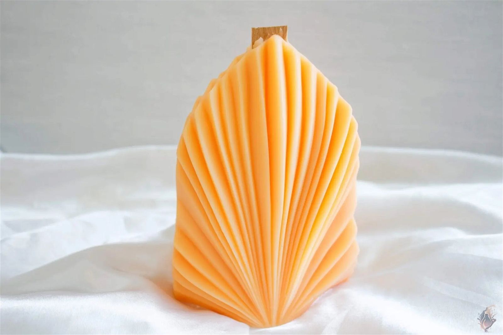 Wooden Wick Coral Shell Candle - EKK Candle Art